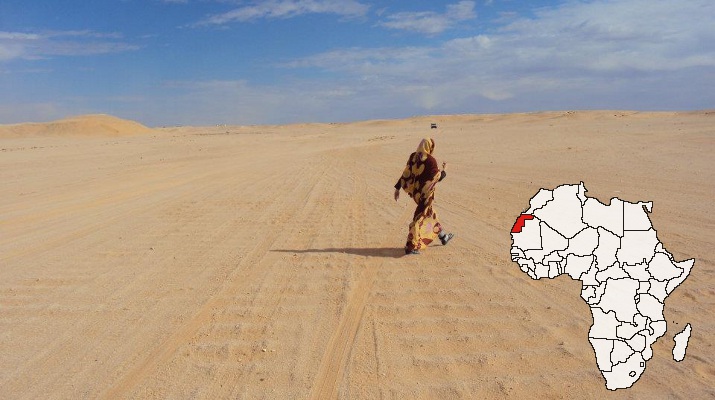 Sahara Occidental : Bref Descriptif