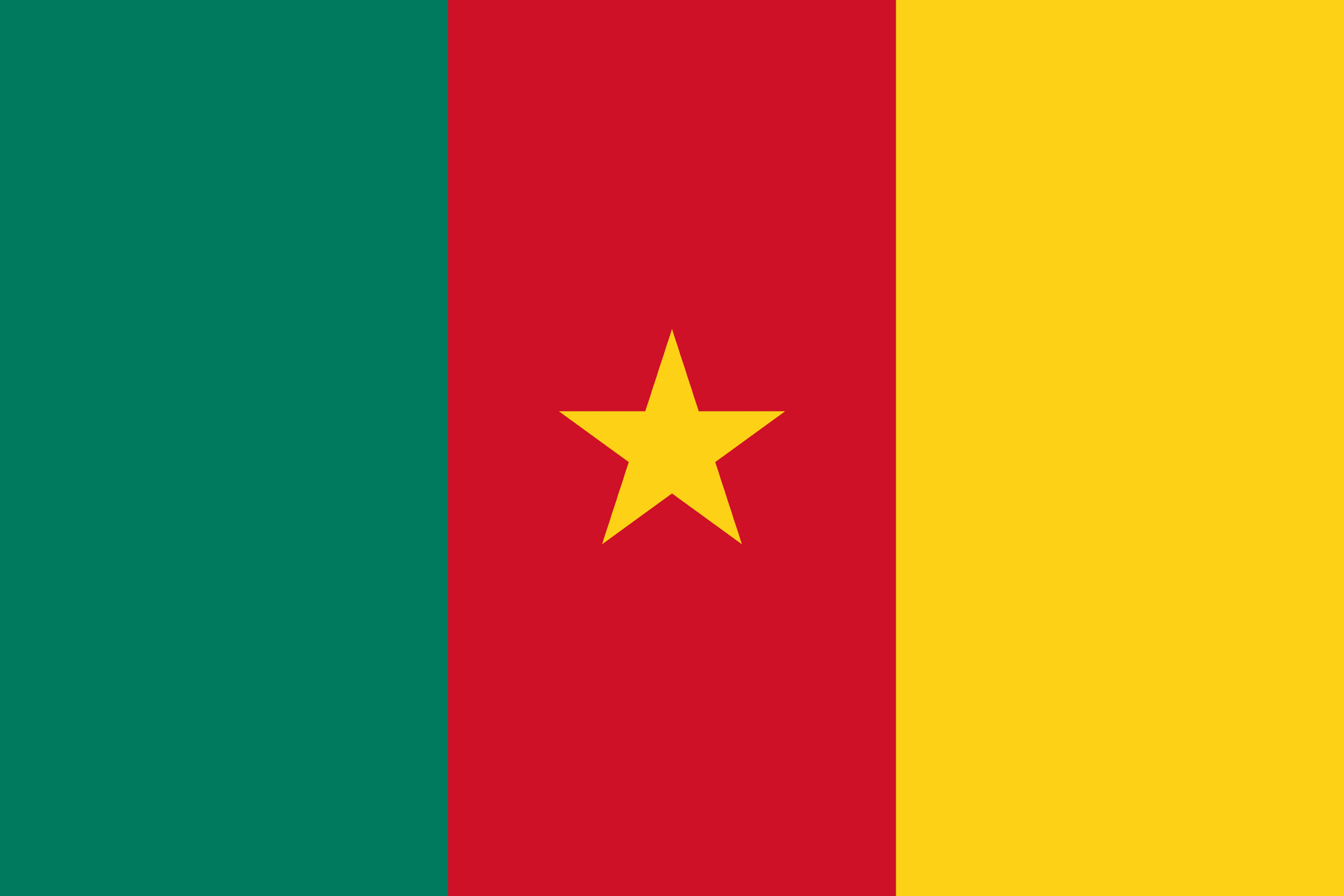 Drapeau Cameroun